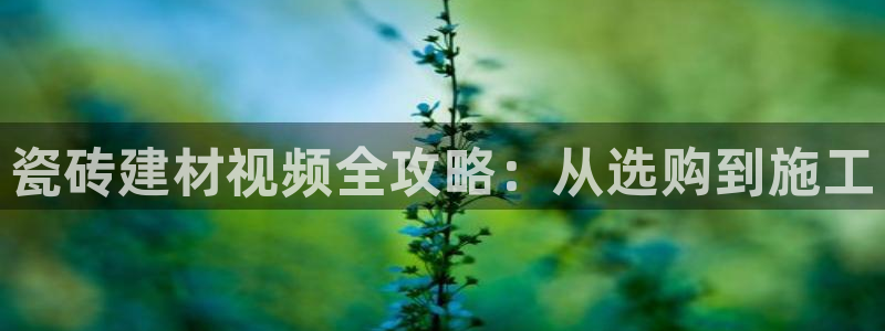 杏鑫平台是黑平台吗