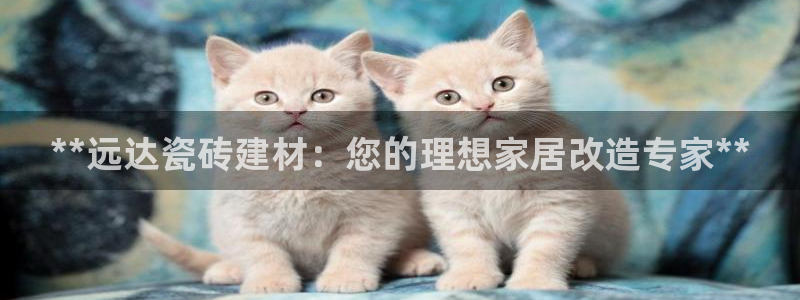 杏鑫平台怎么样黑钱吗知乎推荐