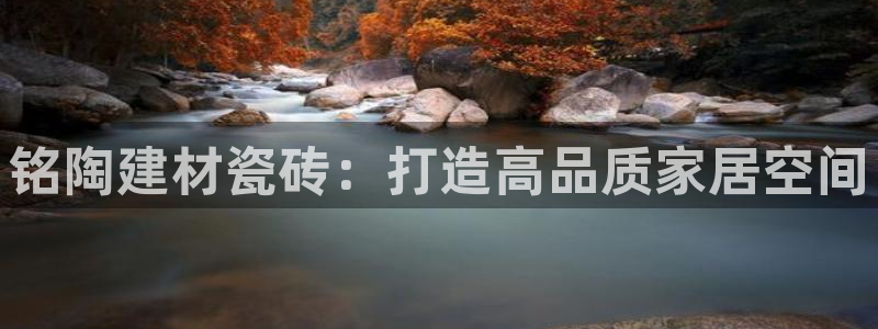 杏鑫平台直属哪个公司