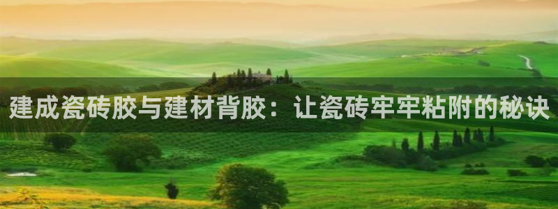杏鑫平台平台