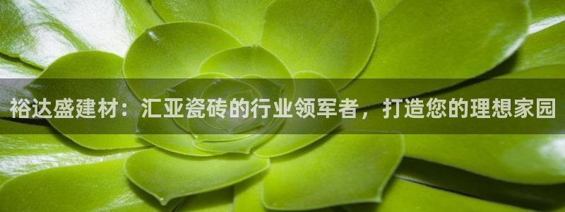 杏鑫平台野马联盟怎么样