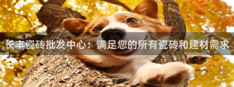 杏鑫平台直属