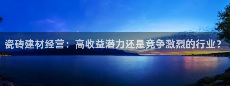 杏鑫招商总代