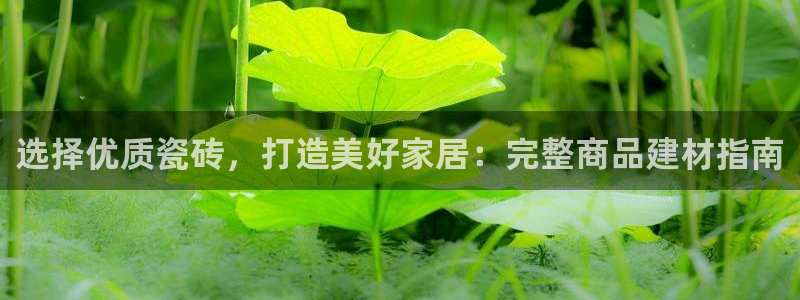 杏鑫手机客户端