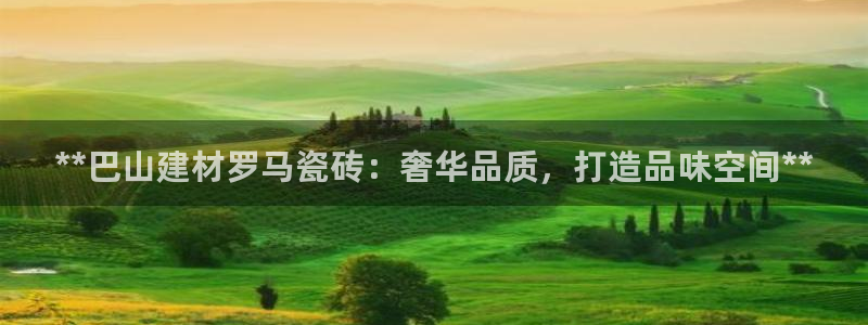杏鑫娱乐开发团队