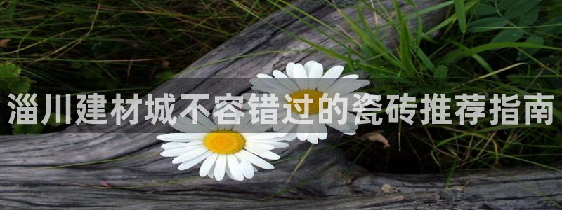 杏鑫平台代理怎么样赚钱