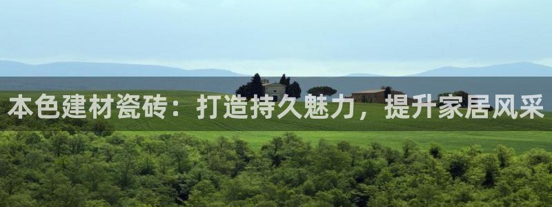 杏鑫官方app代理