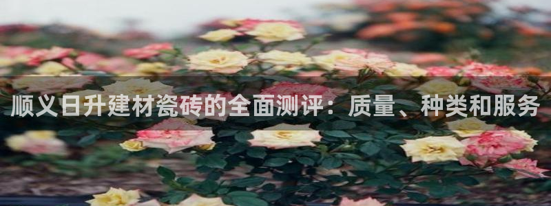 杏鑫平台代理注册多少钱啊