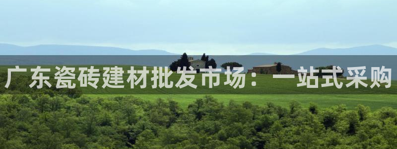 杏鑫平台注册网址是多少