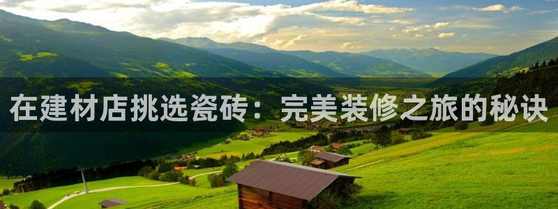 杏鑫测速注册