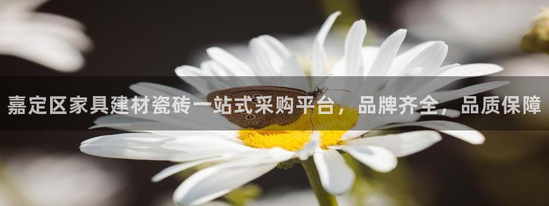 杏鑫官网最新信息新闻报道