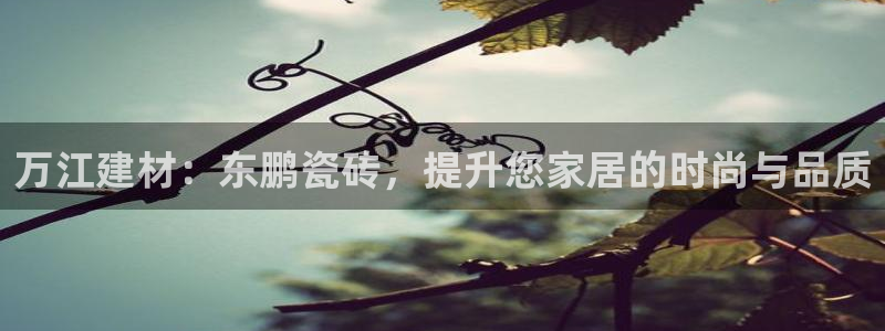 杏鑫注册登录代理