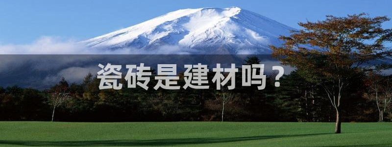 杏鑫注册登录代理公司