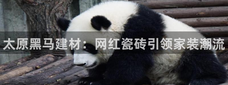 杏鑫平台注册入口在哪