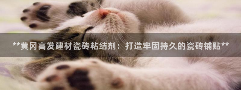 杏鑫平台代理怎么做赚钱