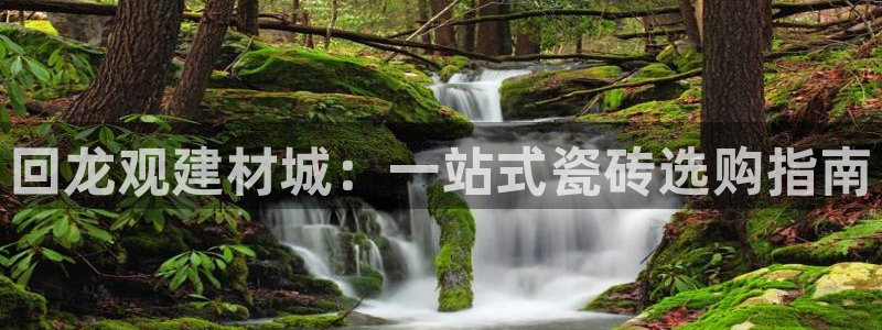 杏鑫手机客户端