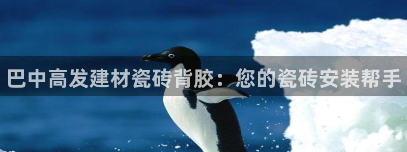 杏鑫平台代理怎么样啊