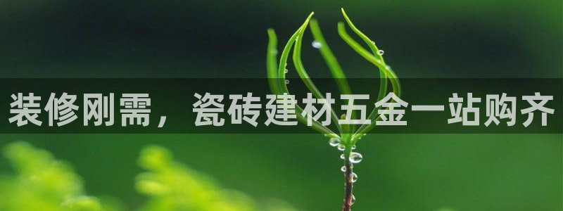 杏鑫官网注册账号密码是什么