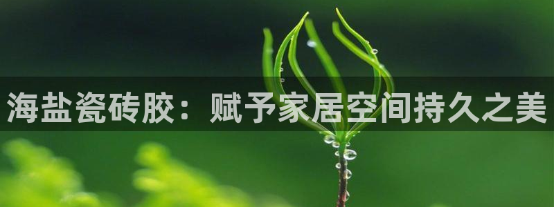 杏鑫平台官方网站