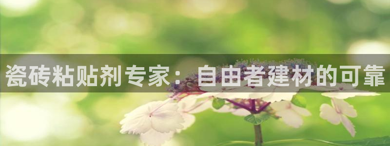 杏鑫官网