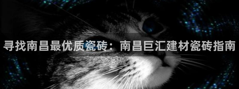 杏鑫注册登录代理