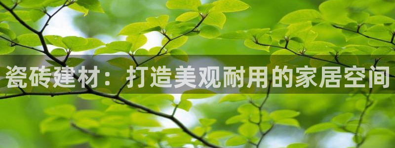 杏鑫平台注册地址是哪里