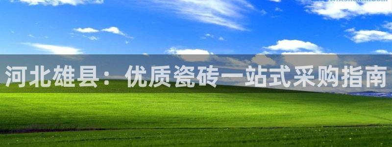 杏鑫平台登录地址是什么
