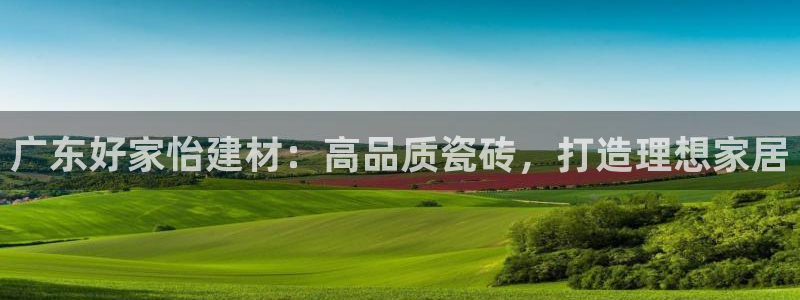 杏鑫官方app代理