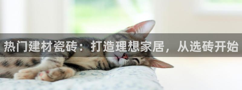 杏鑫手机客户端怎么下载