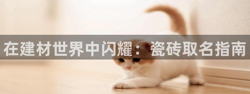 杏鑫平台代理注册多少钱一个