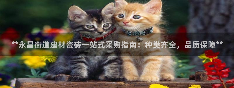 杏鑫娱乐官网首页