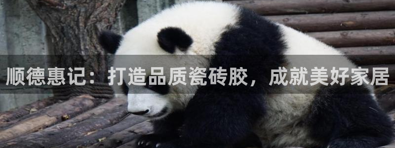 杏鑫娱乐-官方网站