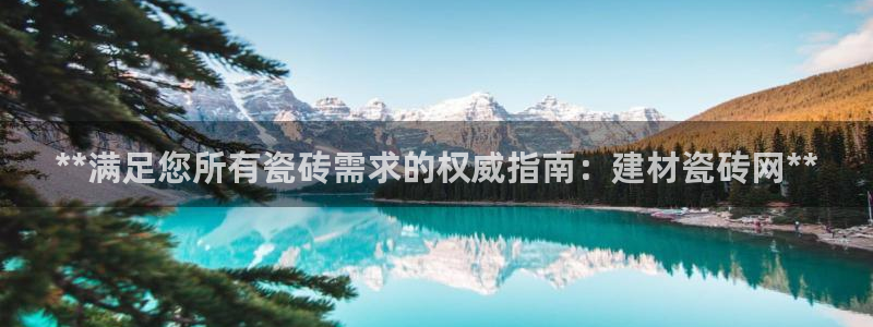 杏鑫平台代理注册流程图
