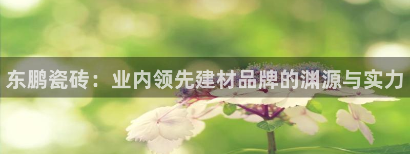 杏鑫平台是黑平台吗