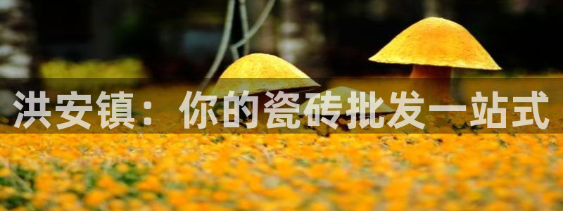 杏鑫官方平台怎么样可靠吗