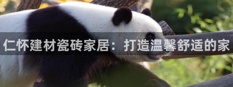 杏鑫娱乐怎么下