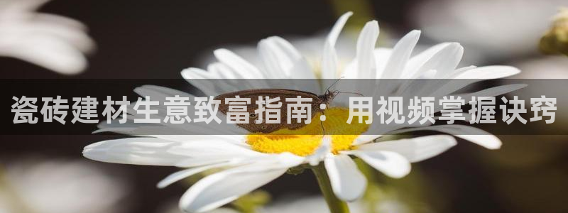 杏鑫平台野马联盟怎么样