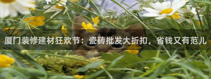 杏鑫娱乐平台测速怎么样