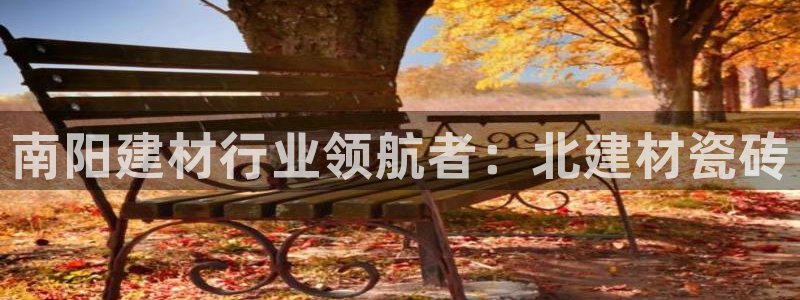 杏鑫平台是黑平台吗