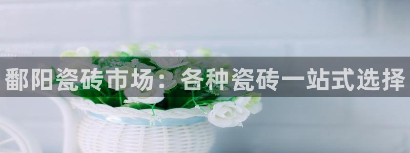 杏鑫娱乐平台