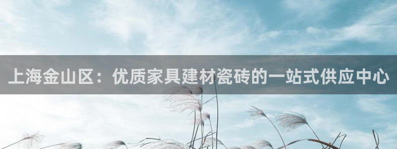 杏鑫平台代理怎么样啊