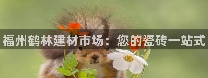 杏鑫平台怎么样黑钱吗是真的吗吗