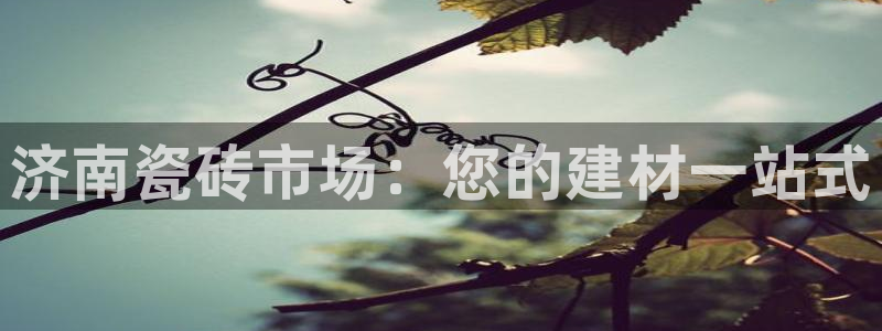 杏鑫手机客户端怎么下载