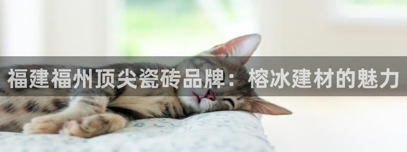 杏鑫平台平台娱乐
