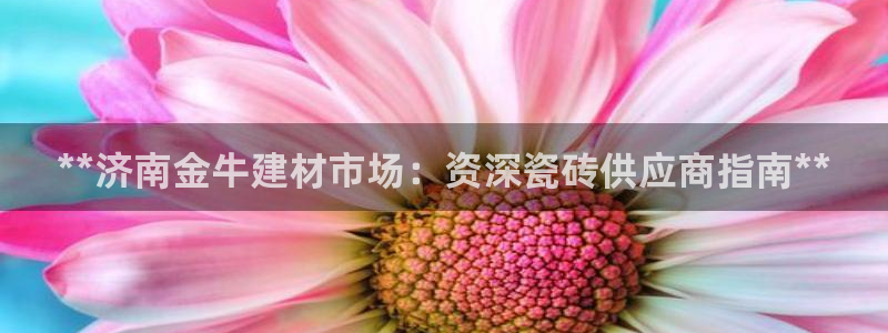 杏鑫娱乐平台登录