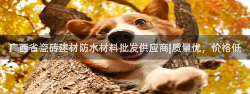杏鑫平台招商怎么样