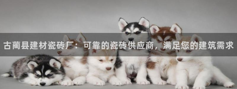 杏鑫娱乐怎么下