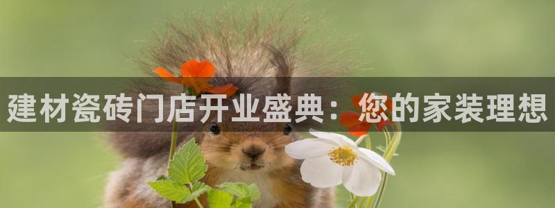 杏鑫平台下载安装