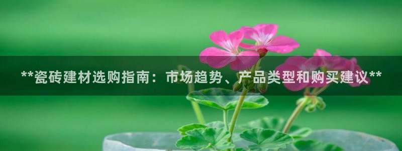 杏鑫平台代理怎么样可靠吗