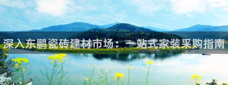 杏鑫平台代理注册流程及费用